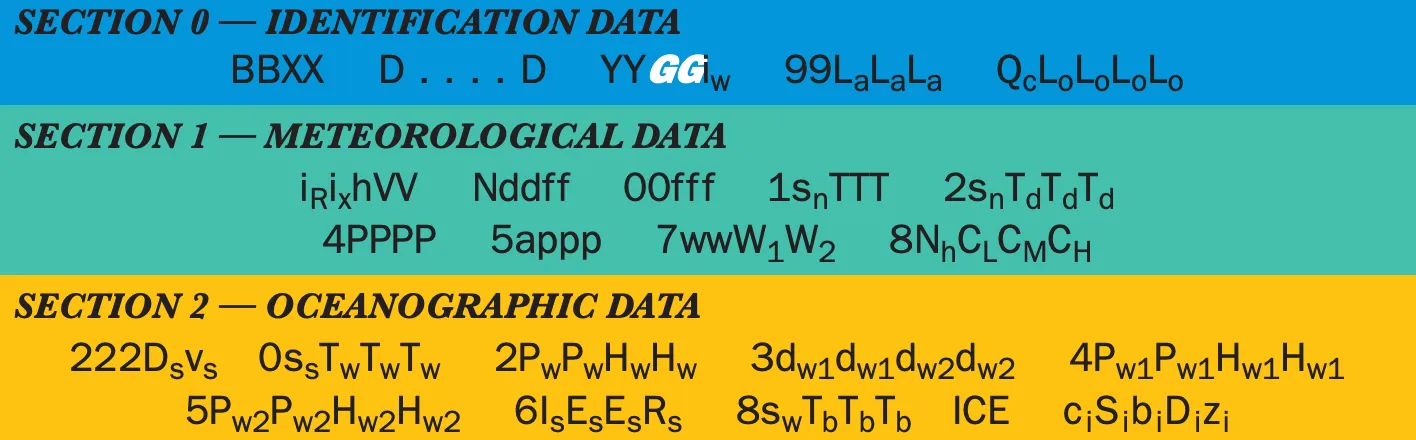 FM-13 report sections and field formats