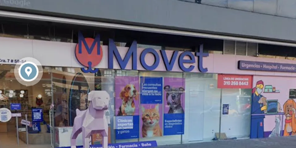 Movet veterinary clinic near the identified location